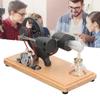 Stirling Engine Motor Model Scientific Physical Thermal Machine Educational Toy for Kids