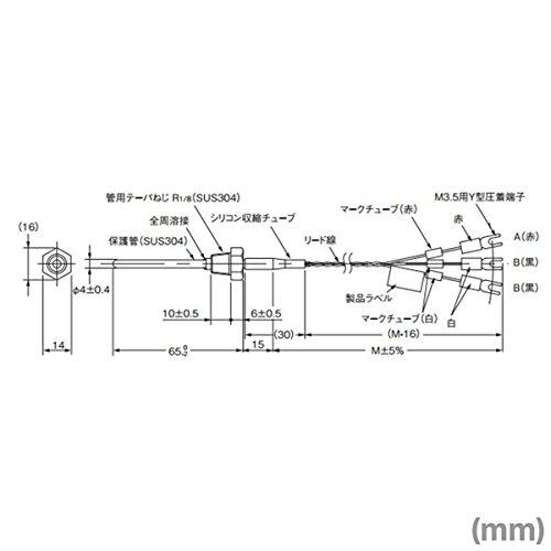Omron Low-Cost Platinum Resistance Thermometer E52-P6DY 1M