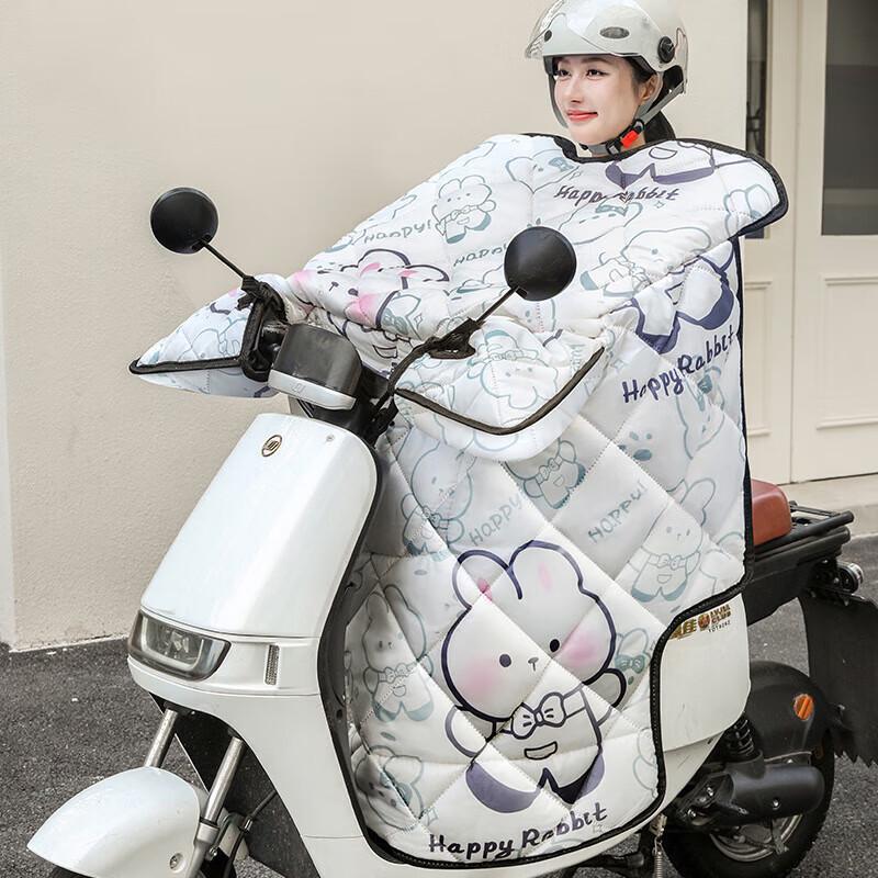 

Electric Vehicle Thickened Windproof Cover