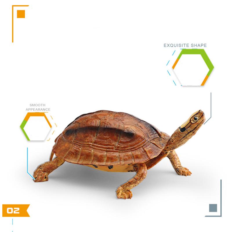 Children Simulated Turtle Model Static Solid Model Toy Animal Set Various Turtle Ornaments Radiated Tortoise Brazilian Slider