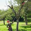 4500W 2.25m Brushless High Branch Saw Telescoping Pole Electric Saw Cordless Portable Garden Pruning Tool