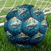 1pc Oceanic Predation Theme Soccer Ball Football, Size 5, Lightweight PVC, Durable Outdoor Training Soccer Ball, Gift M61481