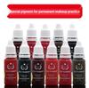 USA Semi-Permanent Makeup Practice Pigments for Beginner Eyebrows, Lips, Ombre Brows, and Eyeliner Training