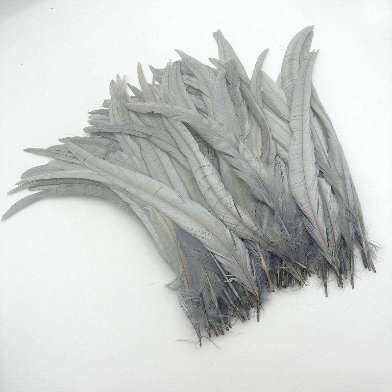 

s 500PCS Rooster Tail Feathers Macaron Color 14-16inches 25-30CM 30-35CM 35-40CM For Colored Costume&Mask 25-30CM світло-сірого кольору