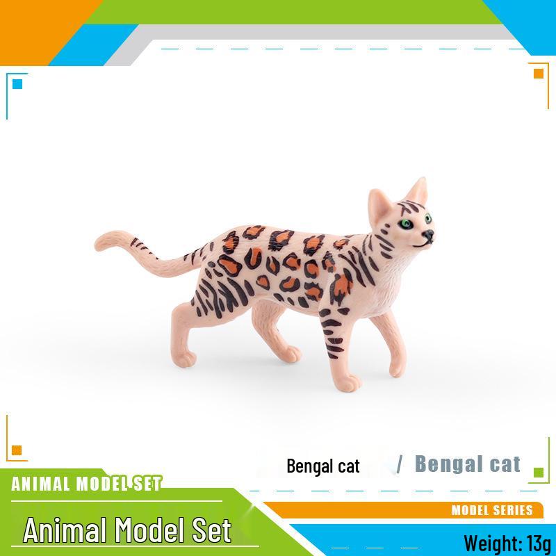 Cross-Border Wildlife Simulation Model: White Lioness, Aardvark, Bengal Leopard Cat, Proboscis Monkey, Tapir, Snow Leopard