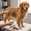 Hunde – Fellpflegeartikel für Hunde