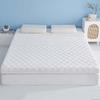 WTEMPO Soft Home Double-sided Bed Mattress Solid Color Thickened Single/Double Mattress Cushion Quilts Warm Winter Single Student Dormitory Mattress