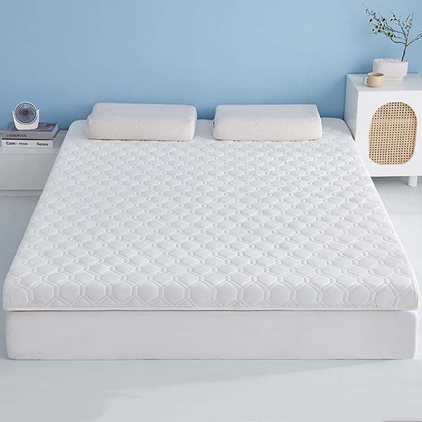 WTEMPO Soft Home Double-sided Bed Mattress Solid Color Thickened Single/Double Mattress Cushion Quilts Warm Winter Single Student Dormitory Mattress