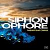 Siphonophore by Jaimie Batchan Paperback Book 9781912436545