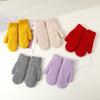 Windproof Plush Mittens Thickned Full Finger Gloves New Warm Gloves  Winter