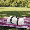 Picnic Blanket Carry Strap Blanket Picnic Blanket Carry Strap Yoga Mat Outdoor Portable Handle Belt for Camping PU Leather