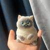 Cute Chubby Cat Orange Cat Siamese Cat Plush Soft Squishy Girl Child Birthday Gift Fidget Soft Toy Pet Ornament