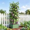 Planter with Adjustable Trellis, Flower Box, Tomato Cage, Galvanized Steel, 61 x 61 x 187 cm, Green