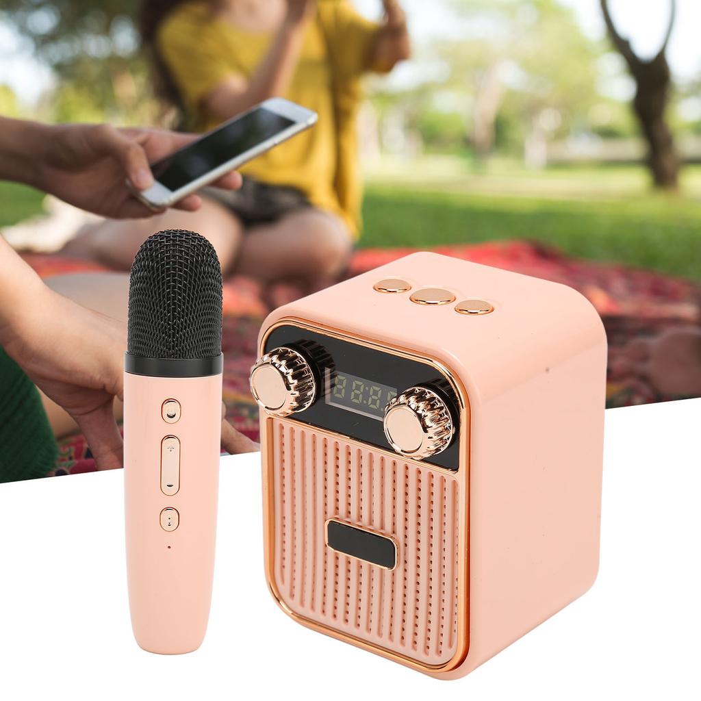 Karaoke Machine HiFi Stereo Sound Portable Speaker with Microphone for Kids Gifts