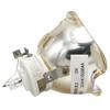 Zorsika Barco Projector Lamp