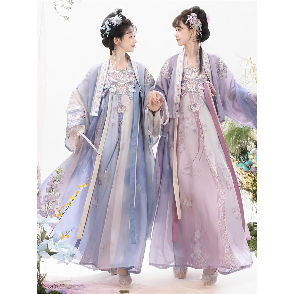 Women Tang Dynasty Hanfu Set Embroidered Qi Xiong Ru Qun Traditional Chinese Dress Daily Cosplay Outfit