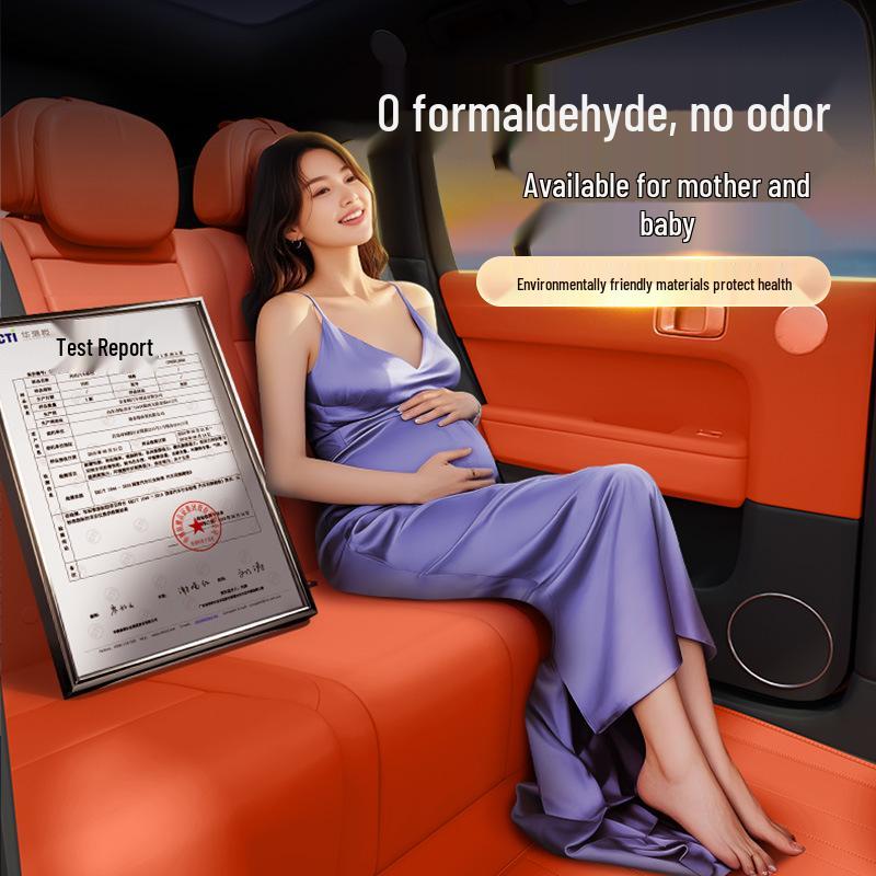 All-Inclusive Floor Mats for 2025 Lynk & Co 10EM-P: Interior Carpet and Accessories