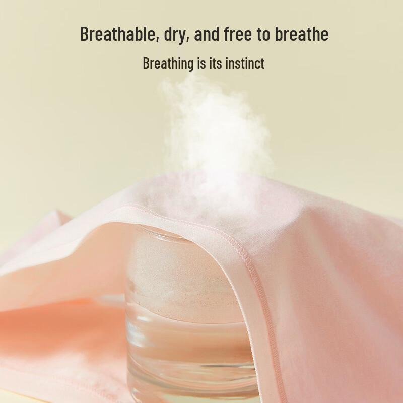 LANGSHA Women's Mulberry Silk Antibacterial Mid-Waist Briefs (4-Pack)