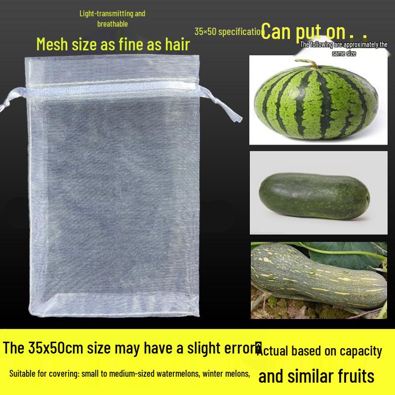 Fruit Tree Bagging: Insect & Bird Proof Mesh Covers for Strawberries, Figs, Pomegranates, Grapes, and Tomatoes