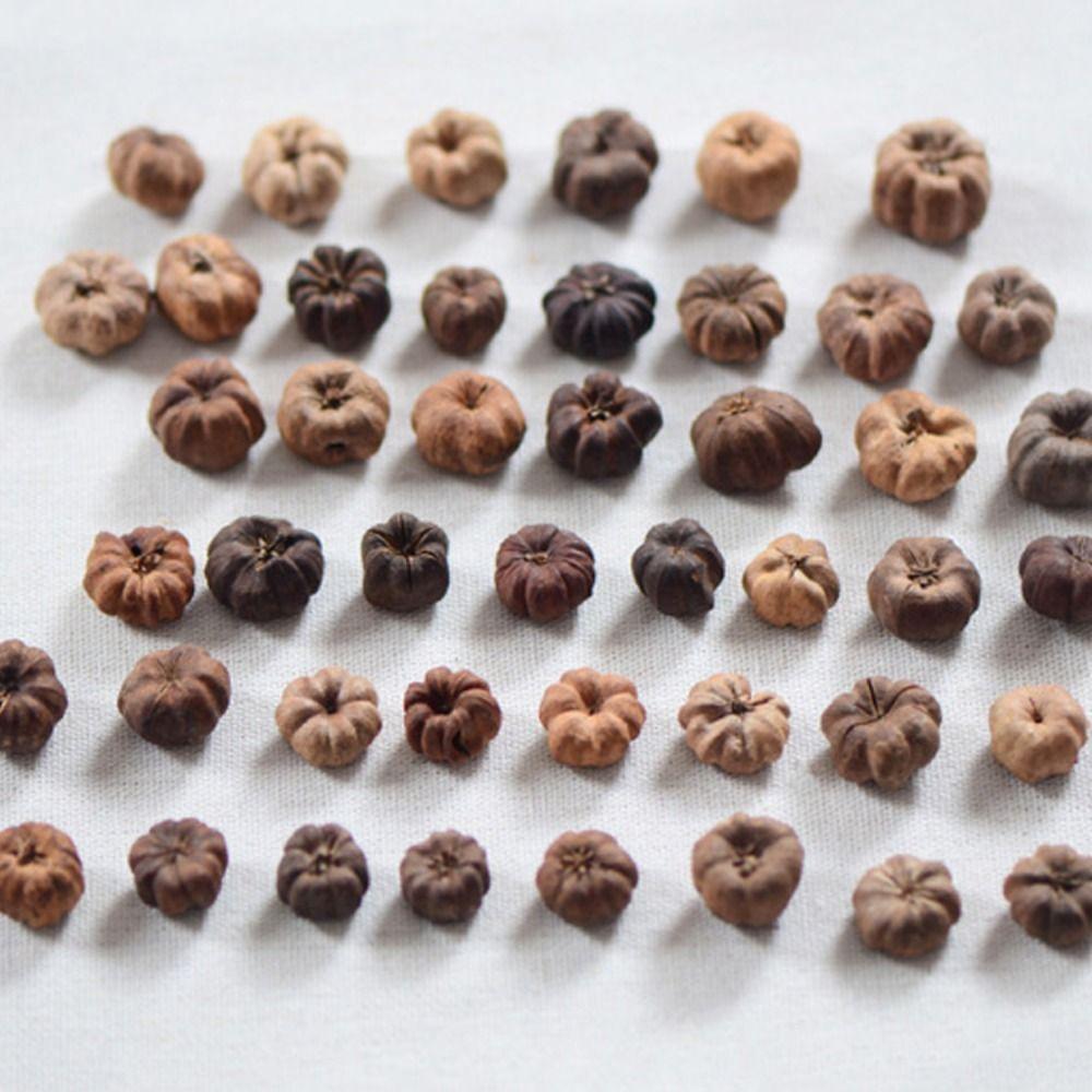 15pcs Dried Vegetables Dried Mini Pumpkins Dried Fruit Halloween Mini Pumpkins  Party Decoration