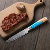 Kitchen Utility Knife 5-inch Damascus Steel Peeling Boning Sharp Knife Slicing Meat Cutting Sharp Sushi Sashimi Chef's Knife