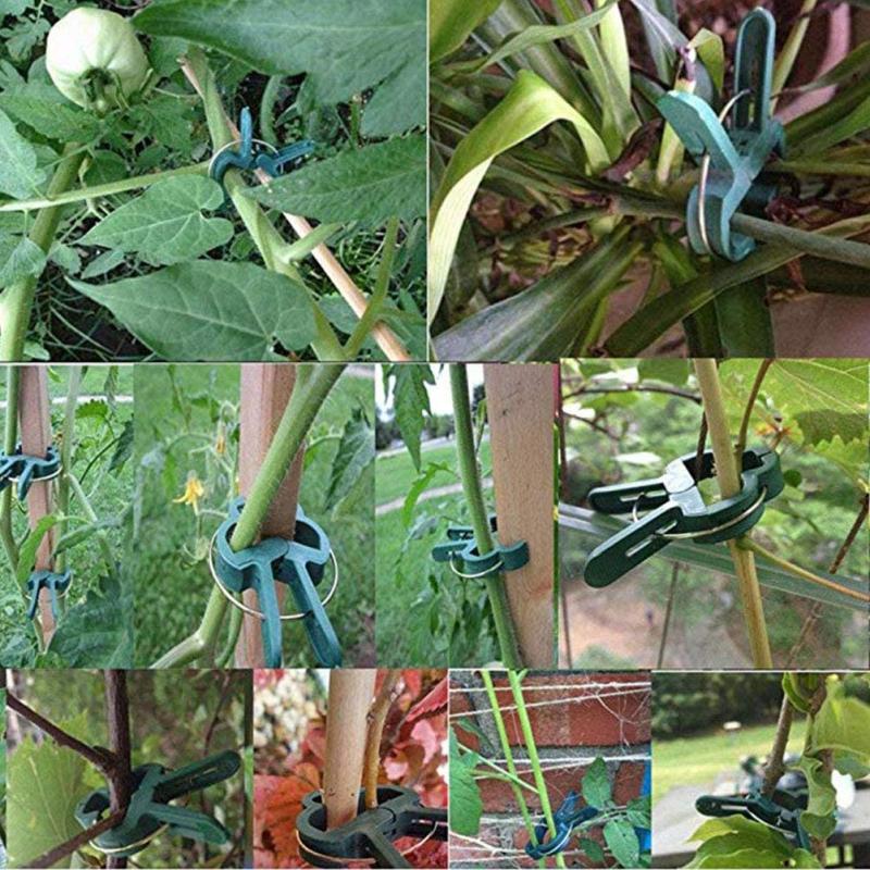 Plant Fixed Clips Reusable Garden Greenhouse Bracket for Fixed Plants Vine Flower Seedling Tomatoes Support Garden Supplies