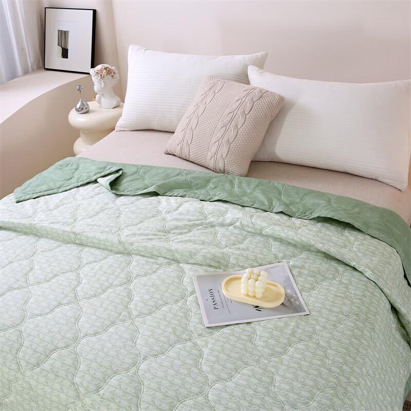 Muxinzi Artemisia Antibacterial Summer Quilt