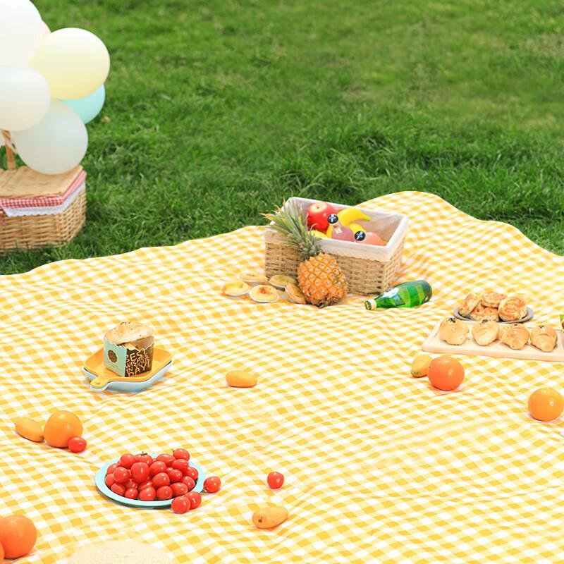 Cat Design Disposable Outdoor Picnic Mat