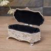 Vintage Ring Earrings Organizer European Trinket Case Luxury Treasure Chest  Toothpick