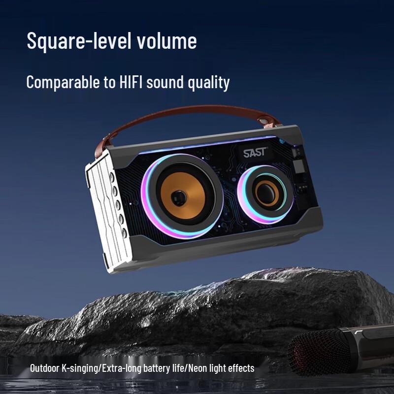 SANSUI T65 Home KTV Bluetooth Speaker with Dual Microphones CN plug (adapter included)