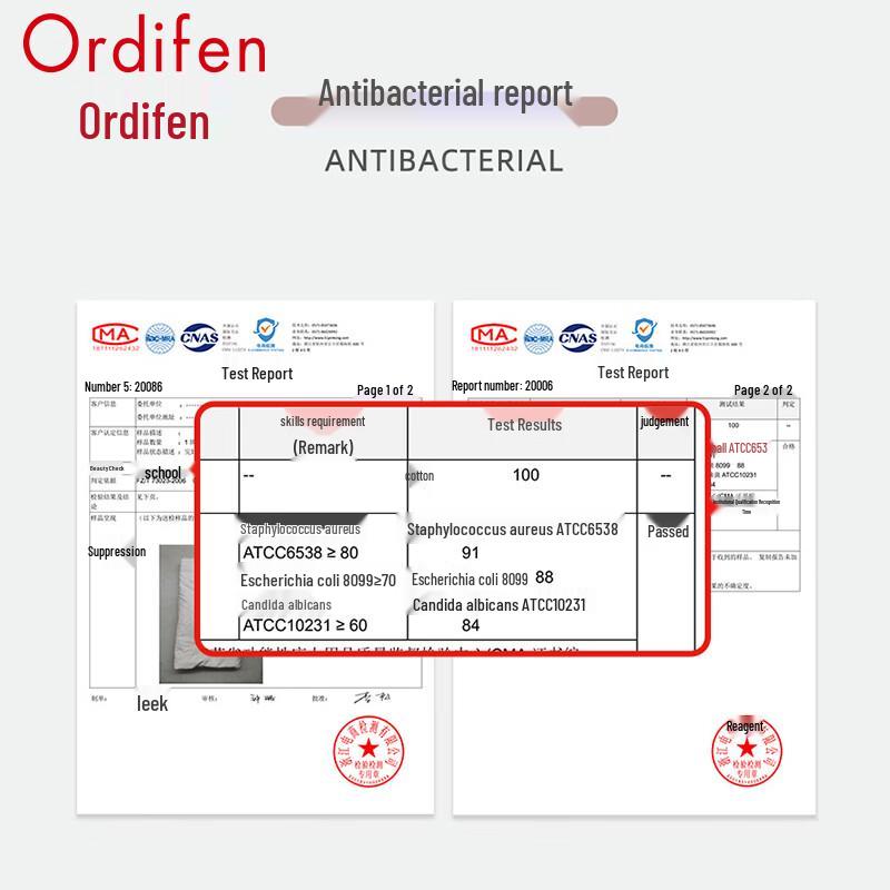 Ordifen Women's 3-Pack Pure Cotton Seamless Lace Mid-Waist Panties