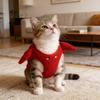 Cozy Crab- Dog Winter Vest With Leash Ring – Warm & Cute Outfit For Small Dogs And Cats