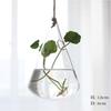 1Pcs Creative Hanging Glass Vase Transparent Hydroponic Container Terrarium Flower Plant Pot Garden Home Wedding Decoration