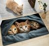 Cartoon Four Kittens Welcome Home Floor Mat Super Cute and Warm Cartoon Cat Floor Mat Suitable for Decorating Living Rooms And