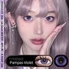 Eyeshare 1 Paar PRAG Kristall Kontaktlinsen für Augen Natürliche braune Linse Augen Make-up Kontaktlinsen Koreanische graue Linse