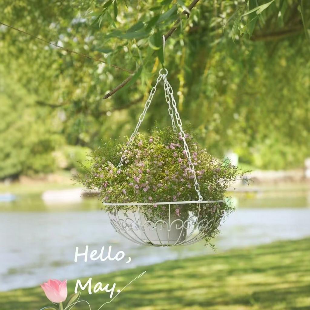 Minimalist & Stylish Iron Rustic Hanging Basket