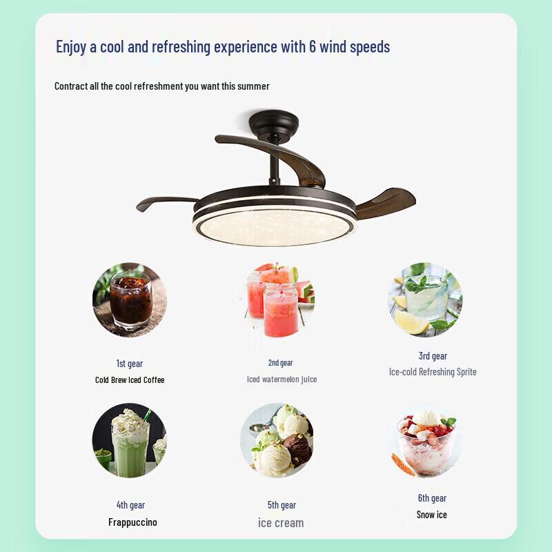 NVC Minimalist LED Ceiling Fan with Full Spectrum Light