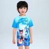 Boys 'swimming Suit Children's Cartoon Nezha Short-sleeved Sunscreen Boys' One-piece Surfing Diving