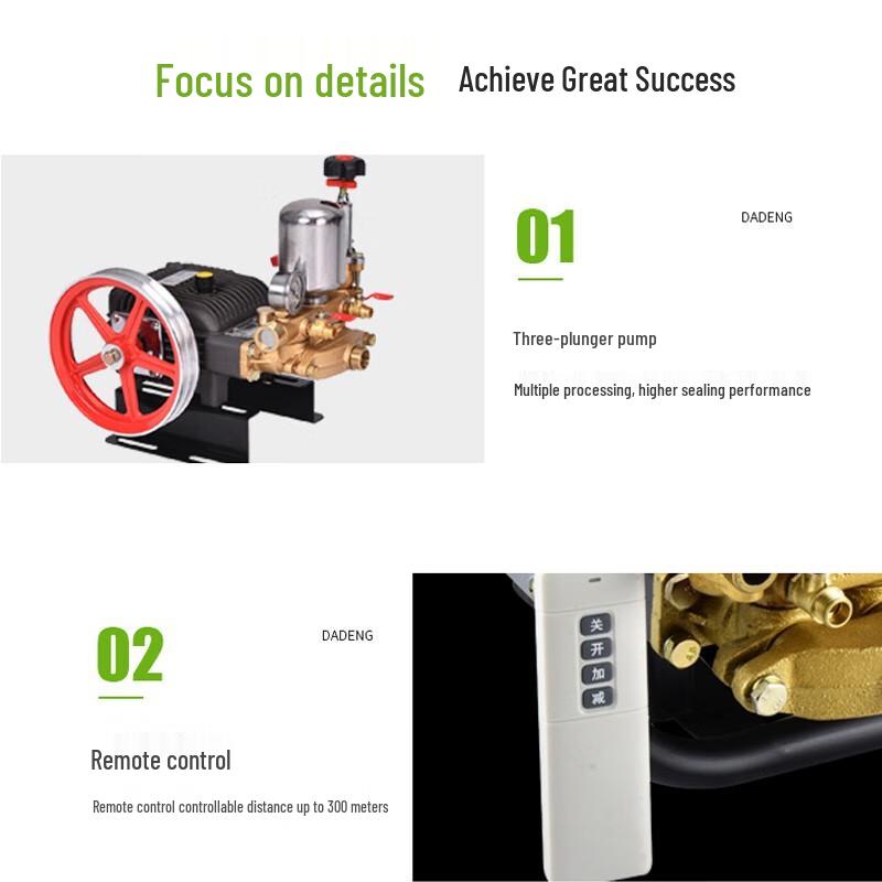 Dadeng N70963 Electric Agricultural Sprayer
