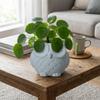 Ceramics Succulent Pot Cute Green Onion Pots Home Decor Owl Planter  Patio