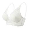 Women S Wireless Lace French Style Sexy Plus Size Bra
