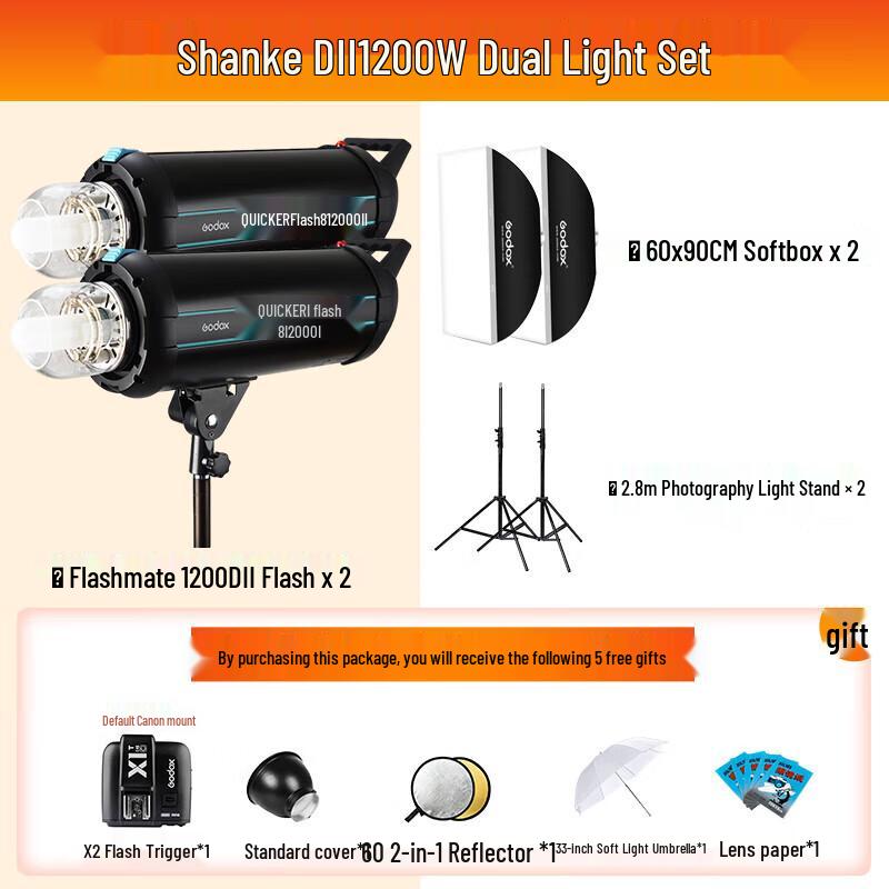 Godox DII1200 Studio Flash Dual Light Kit