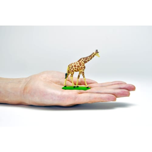 TOMYTEC Kaiyodo x Tomica Limited Vintage DioColle 64 #CarSnap 28a Safari 1 (Includes Toyota Land Cruiser FJ56V) ABS Resin and PVC Figure and Accessori