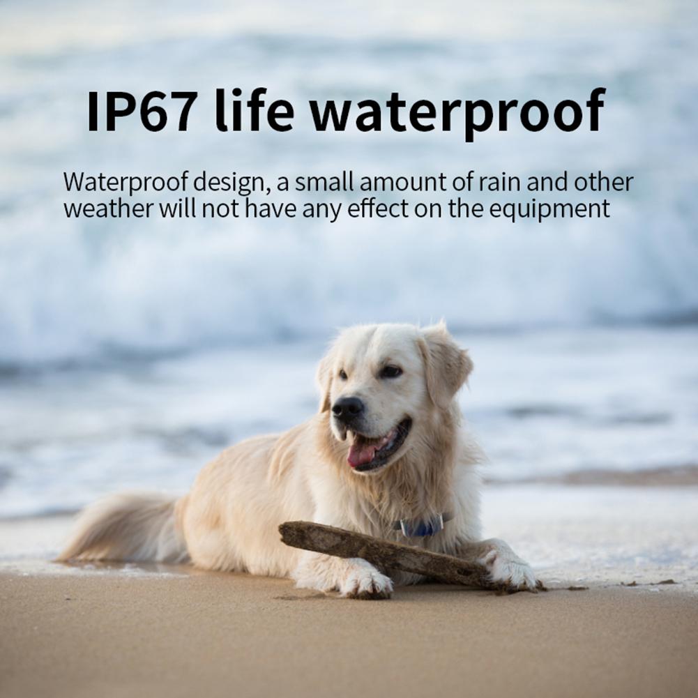 G12 GPS Tracking Locator Wearable Smart Collar Pet Tracking Locator Waterproof IP67 Anti-lost Record Multifunctional for Cat Dog