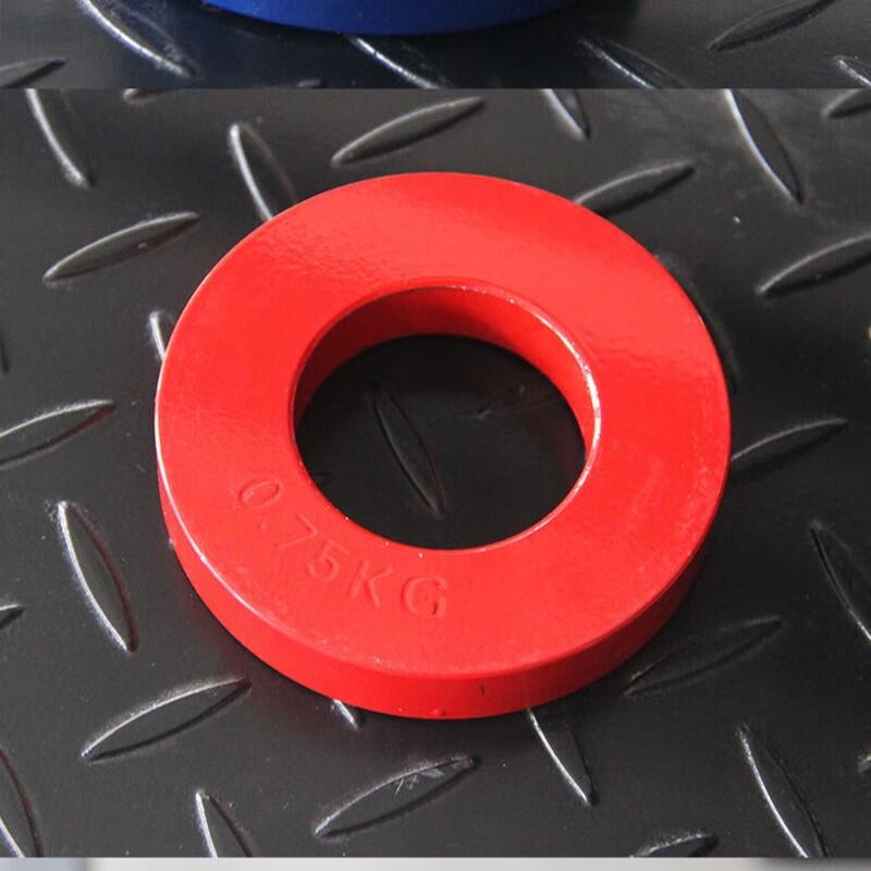 WEZHO Colorful Drop-resistant Barbell Weight Plate