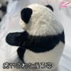 Realistic Panda Plush Toy, Perfect for Birthdays, Anniversaries, Presents, Children's Day, Healing, Smiles, Encouragement, Japanese Flowers, Fur Fur,