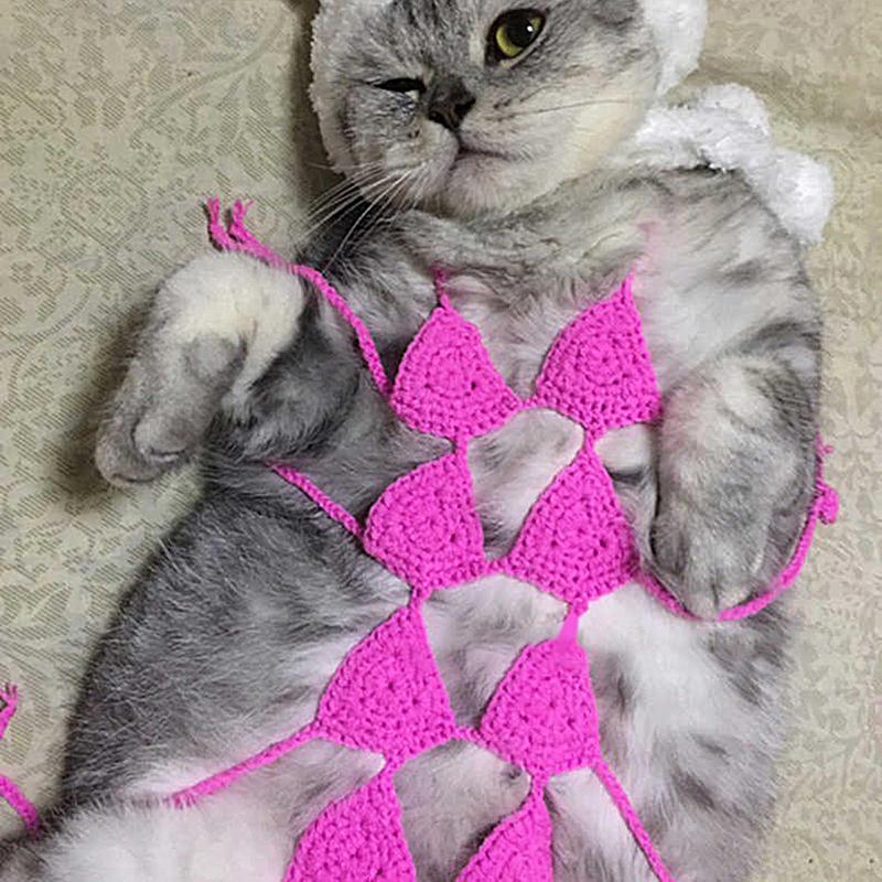 

Creative Costume For Cats Knitting Funny Cat Bra Handmade Wool Kitten Bikini Clothing Creative Dog Underwear Photo Props spain