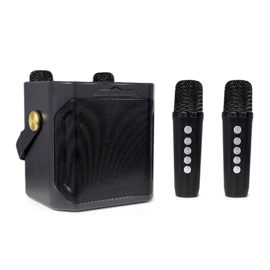 Wireless Bluetooth Speaker Dual Microphone Portable Karaoke Speaker Home Theater