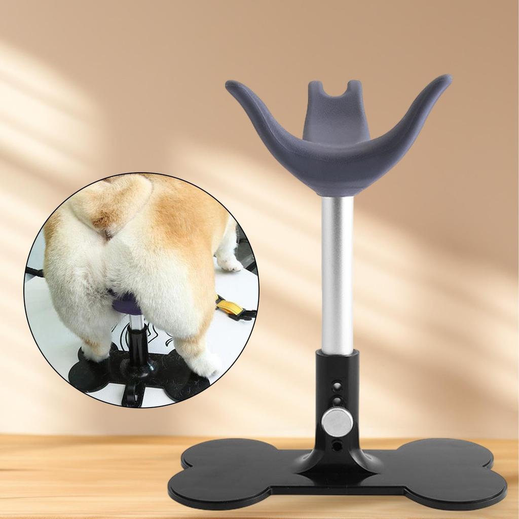 Fixed Dog Auxiliary Standing Fixed Dog Pet Haircut Pet Grooming for Small Gray Seat, Seat, Gift, Stool, Chair, Dogs,