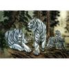 [Omega] White Tiger Family 500 Piece Jigsaw Puzzle OMP605